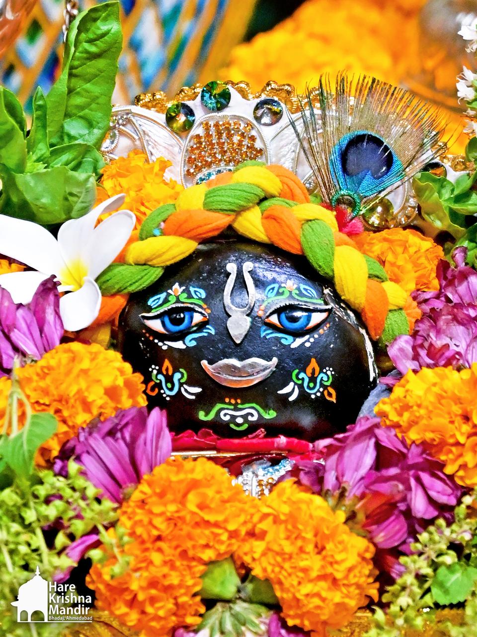 2026-06-21 Darshan